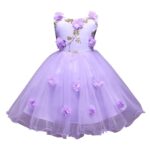Hopscotch Girl's Fit And Flare Knee Length Sleeveless Floral Applique Party Dress